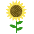 夏